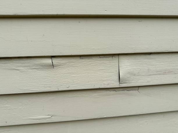 Best Storm Damage Siding Repair  in Abbeville, AL